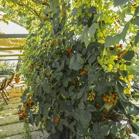 Dom wakacyjny Miranda *