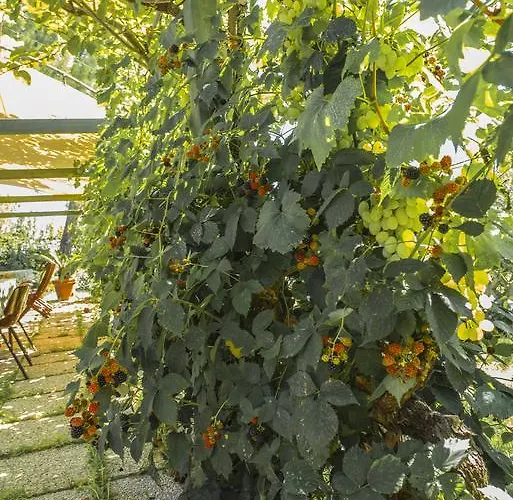 Дом отдыха Miranda *